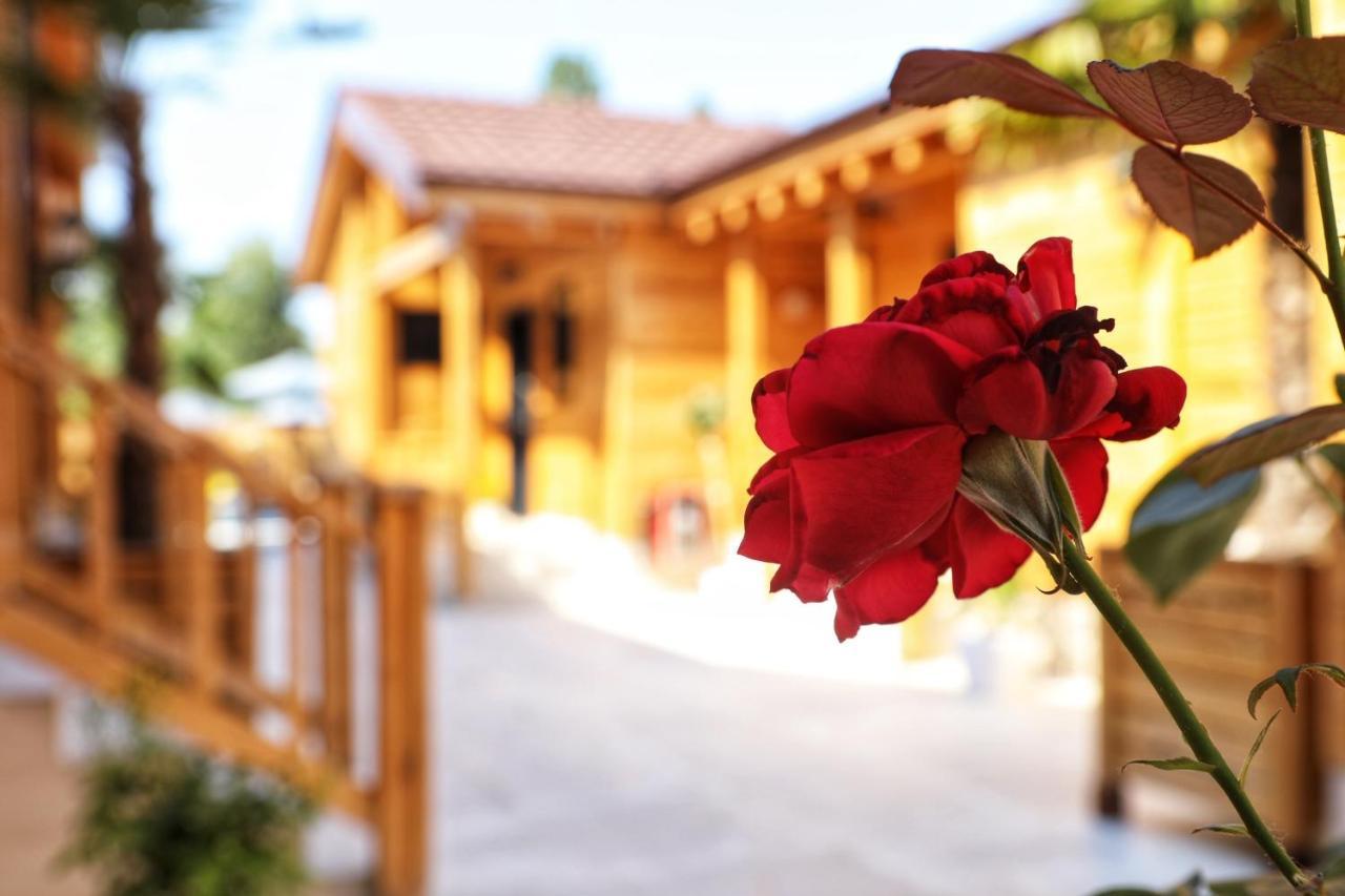 Bujtina Siar Hotel Поградец Екстериор снимка