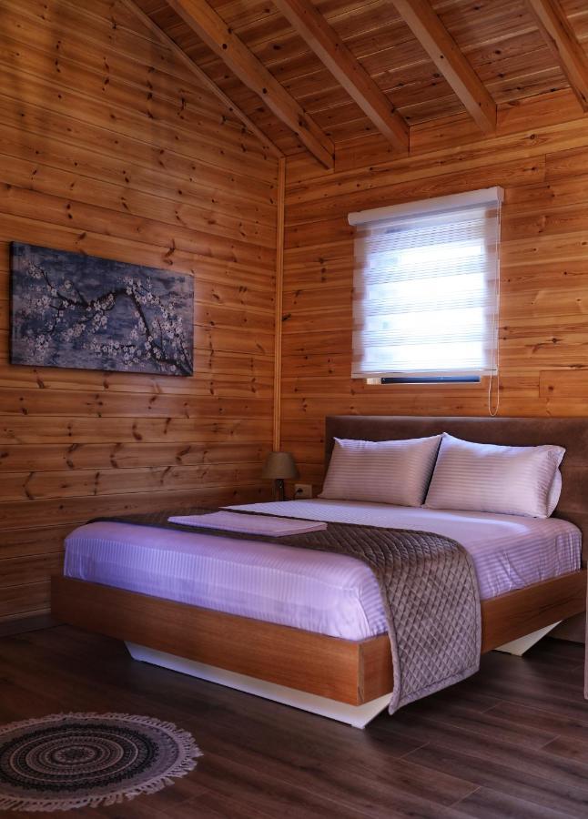 Bujtina Siar Hotel Поградец Екстериор снимка