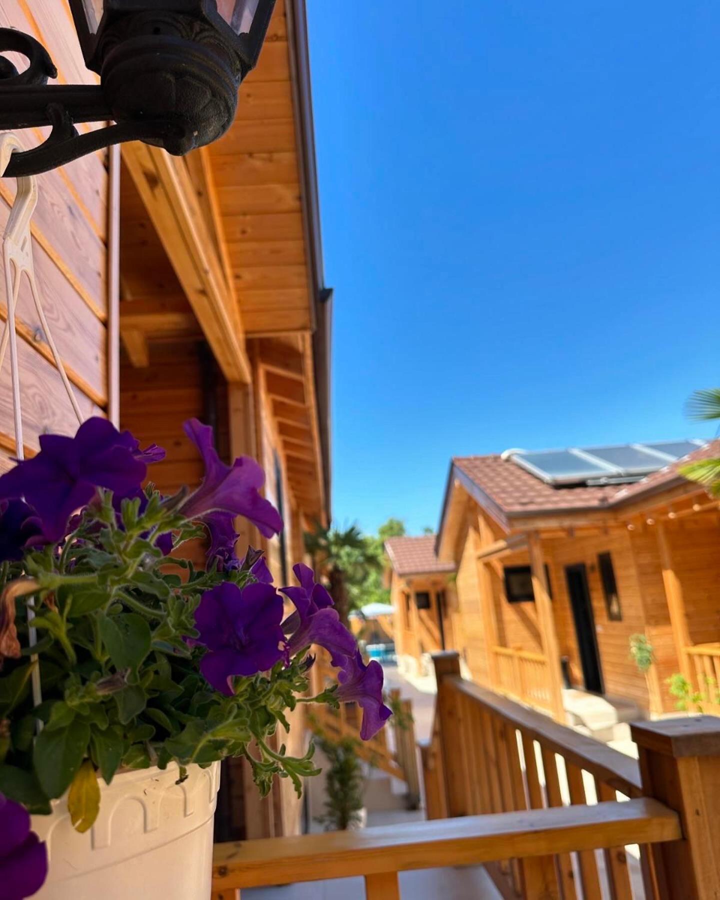 Bujtina Siar Hotel Поградец Екстериор снимка
