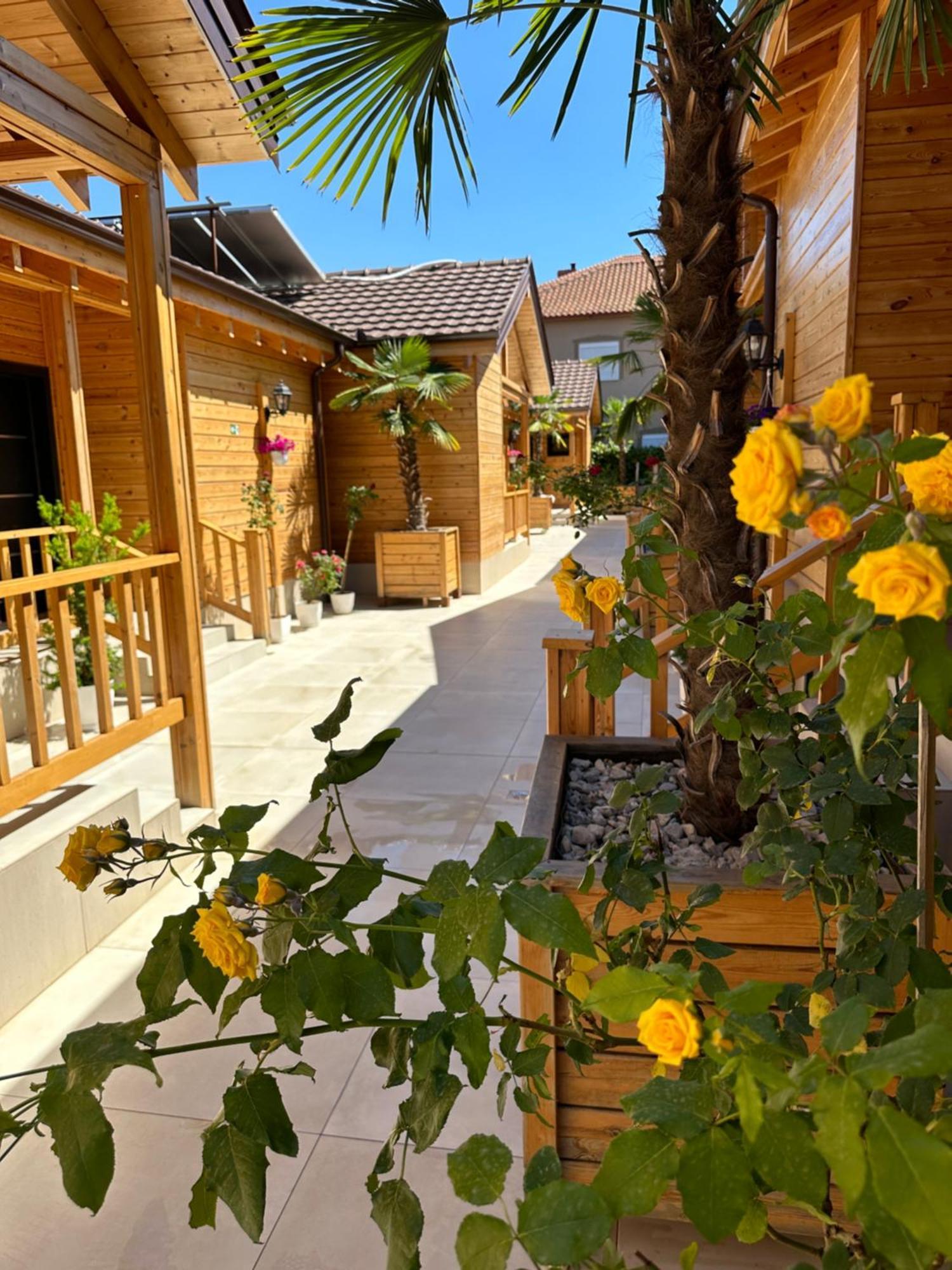 Bujtina Siar Hotel Поградец Екстериор снимка